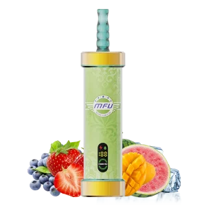 Four seasons Four Seasons: MFU SHISHA X2 – VAPE HOOKAH DE 100,000 CALADAS