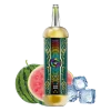 Watermelon lce Watermelon Ice Flavors: MFU SHISHA X4 – VAPE DE 80,000 CALADAS